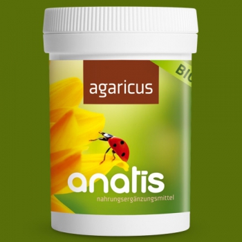Agaricus Pilz-Extrakt
